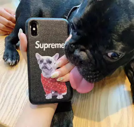 ルイヴィトン ブランド スマホケースiPhone17/17pro/17 promax/17 air 