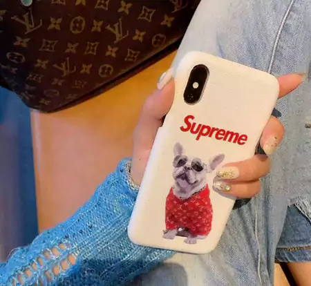 ルイヴィトン ブランド スマホケースiPhone17/17pro/17 promax/17 air 